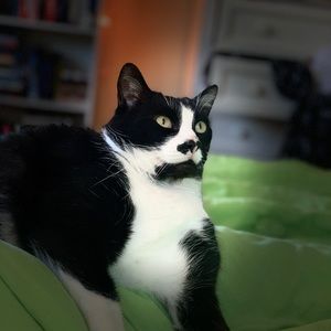 Meet your Posher, Cole